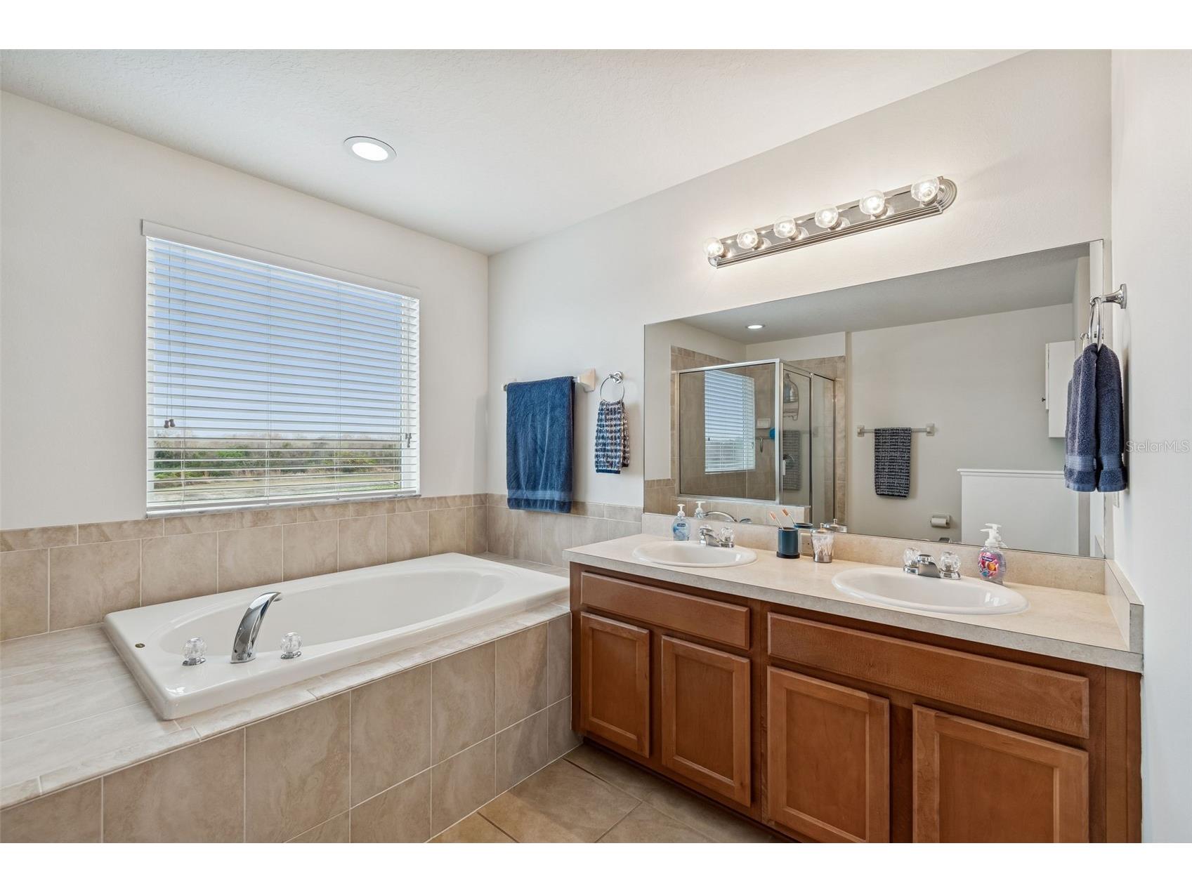 9225 Seeger Lane Land O Lakes FL 34638 TB8469829 image61