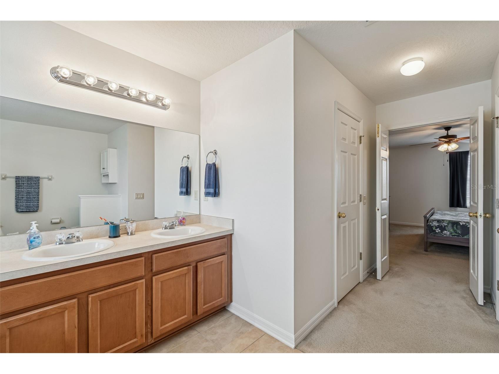 9225 Seeger Lane Land O Lakes FL 34638 TB8469829 image62