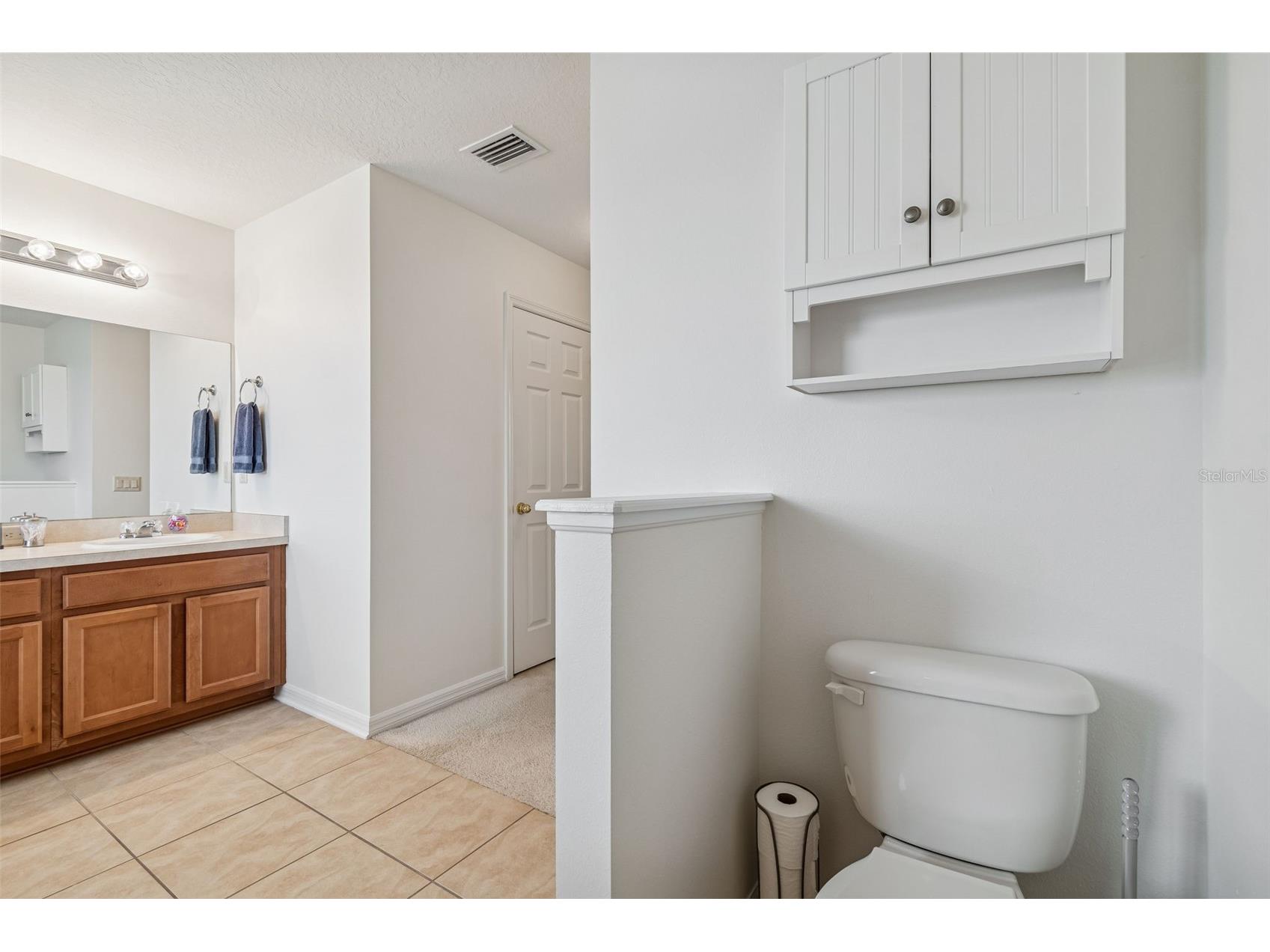 9225 Seeger Lane Land O Lakes FL 34638 TB8469829 image63