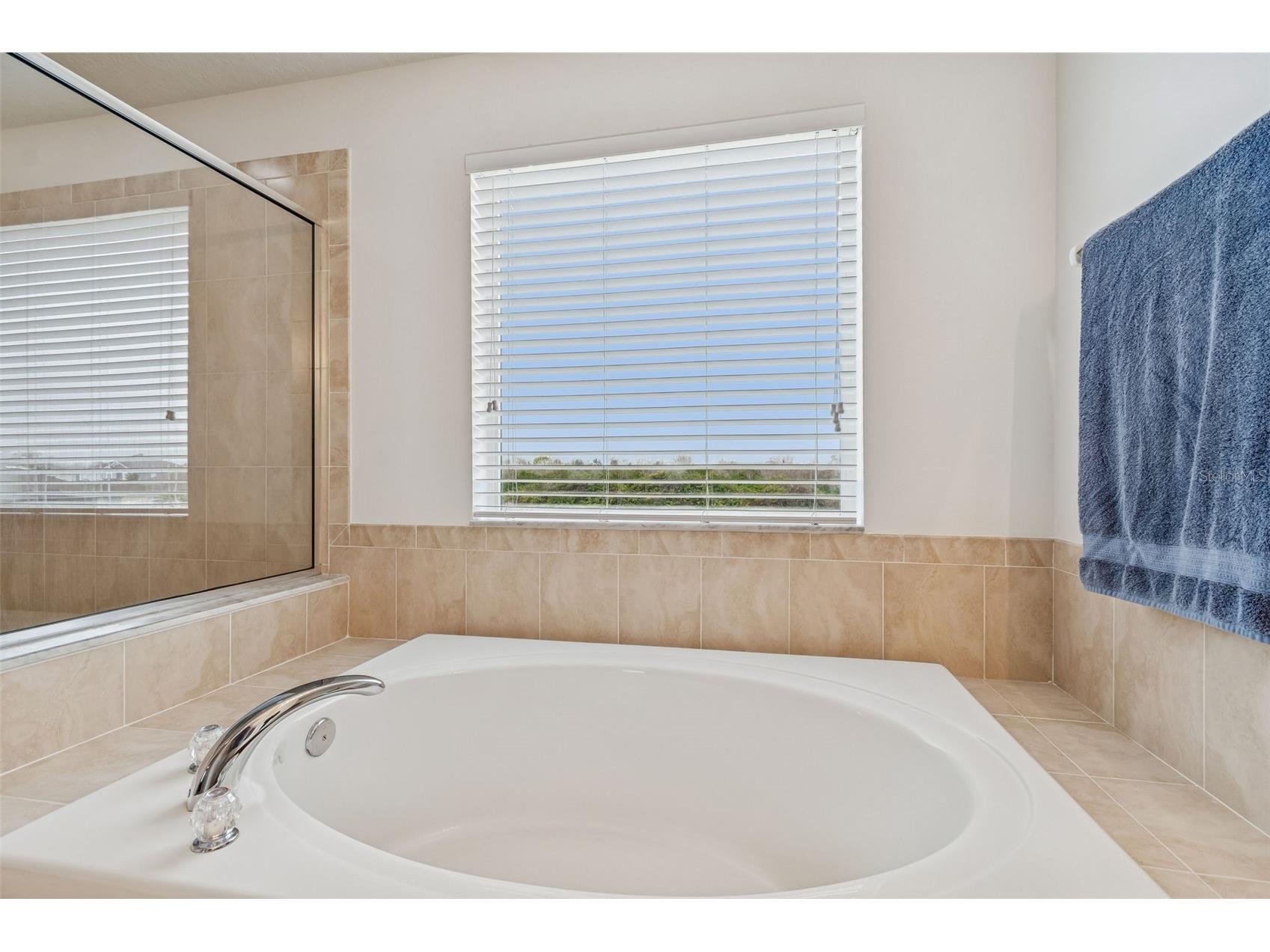 9225 Seeger Lane Land O Lakes FL 34638 TB8469829 image64