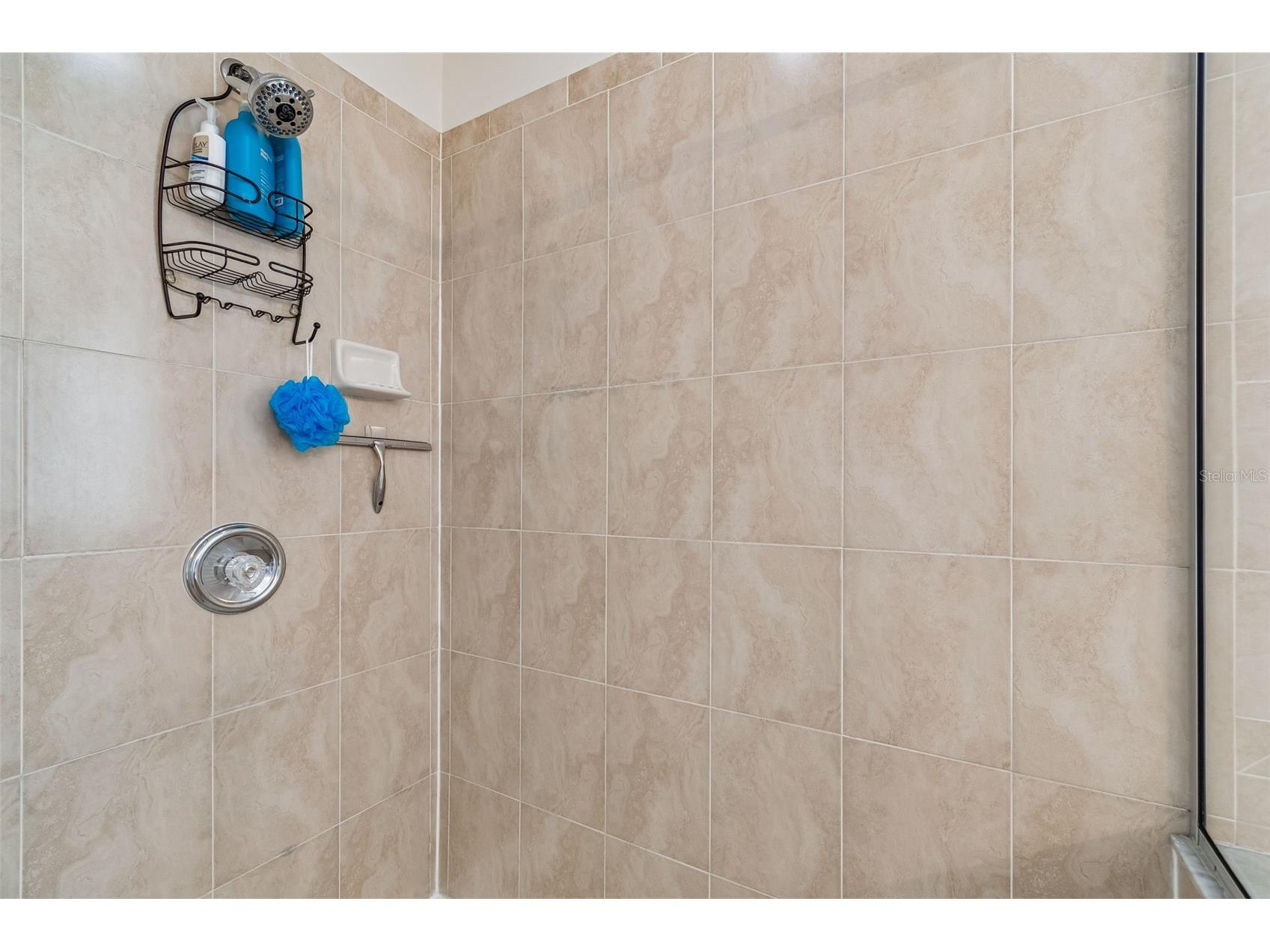 9225 Seeger Lane Land O Lakes FL 34638 TB8469829 image65