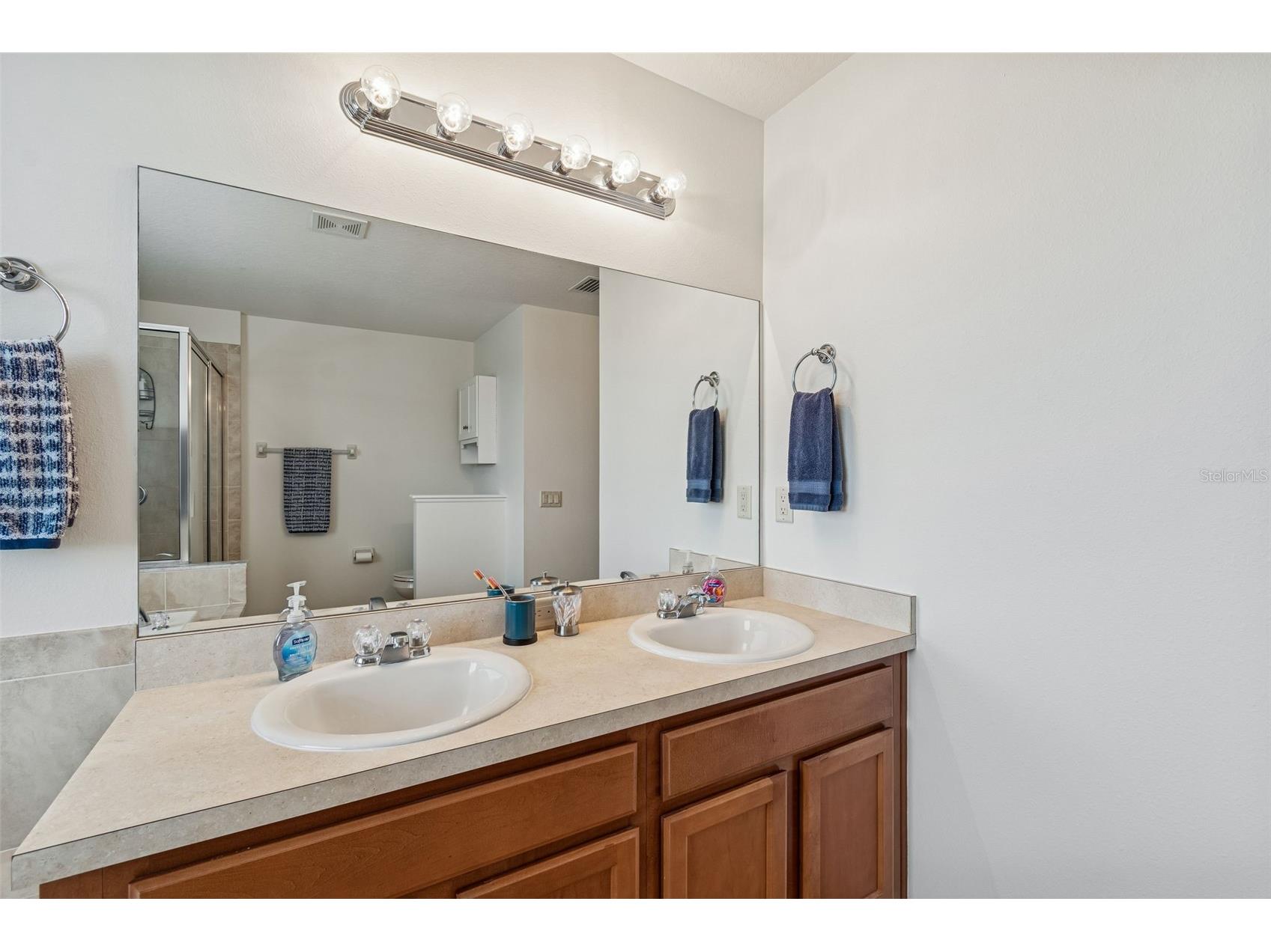 9225 Seeger Lane Land O Lakes FL 34638 TB8469829 image66