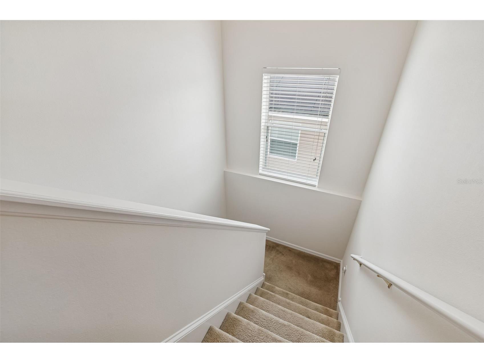 9225 Seeger Lane Land O Lakes FL 34638 TB8469829 image67