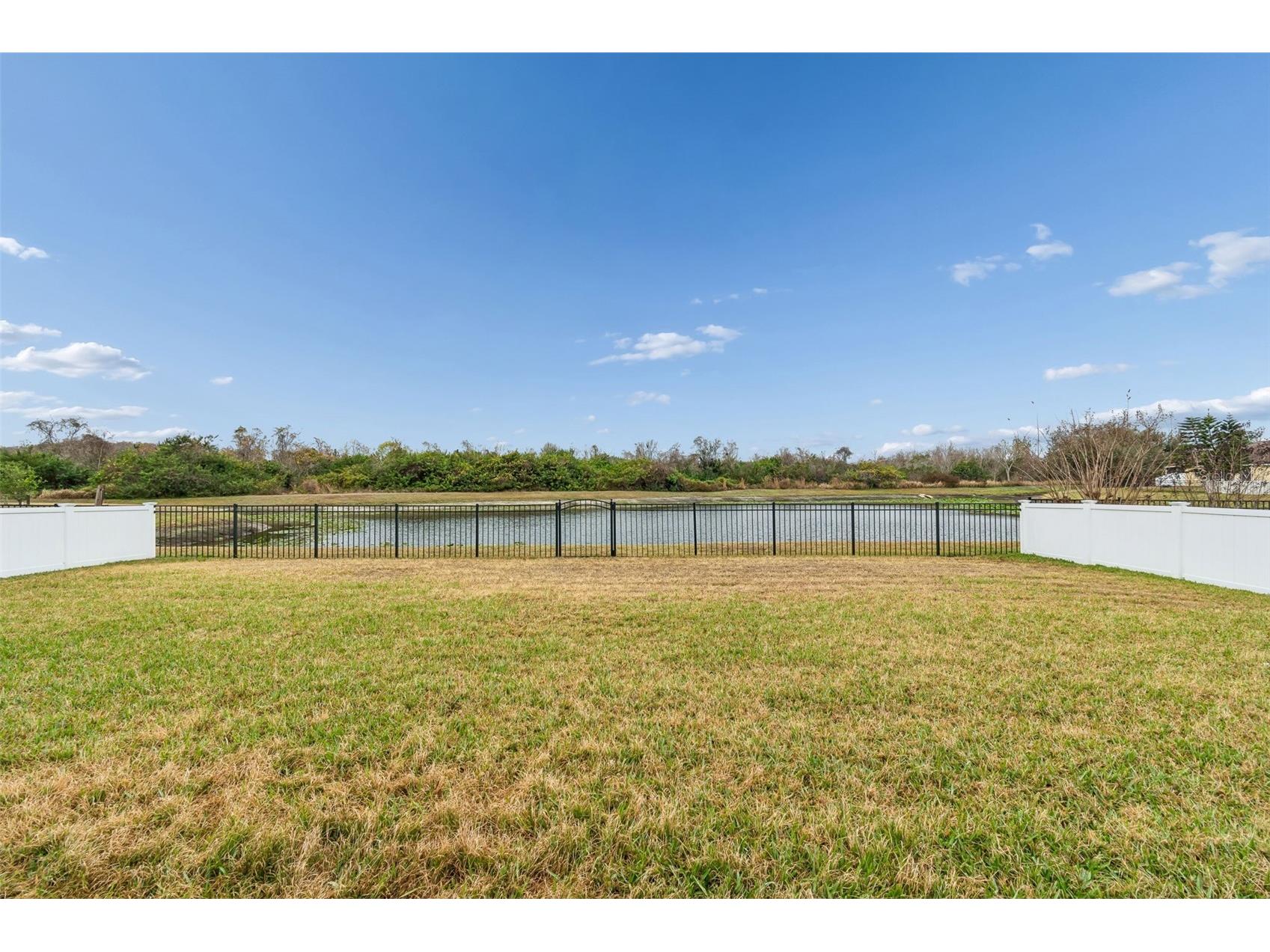 9225 Seeger Lane Land O Lakes FL 34638 TB8469829 image78