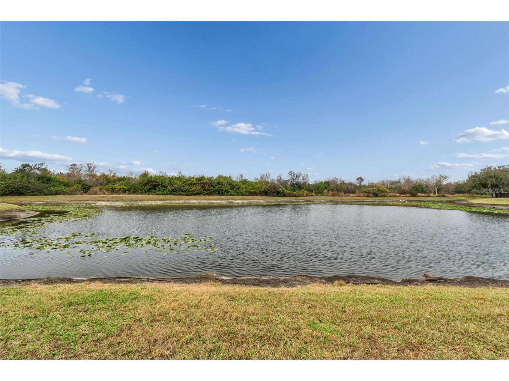 9225 Seeger Lane Land O Lakes FL 34638 TB8469829 image79