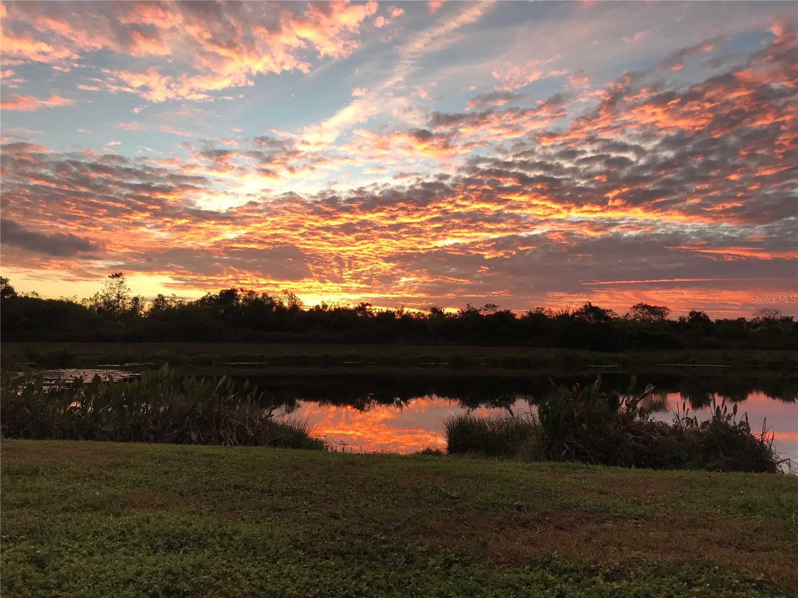 9225 Seeger Lane Land O Lakes FL 34638 TB8469829 image86