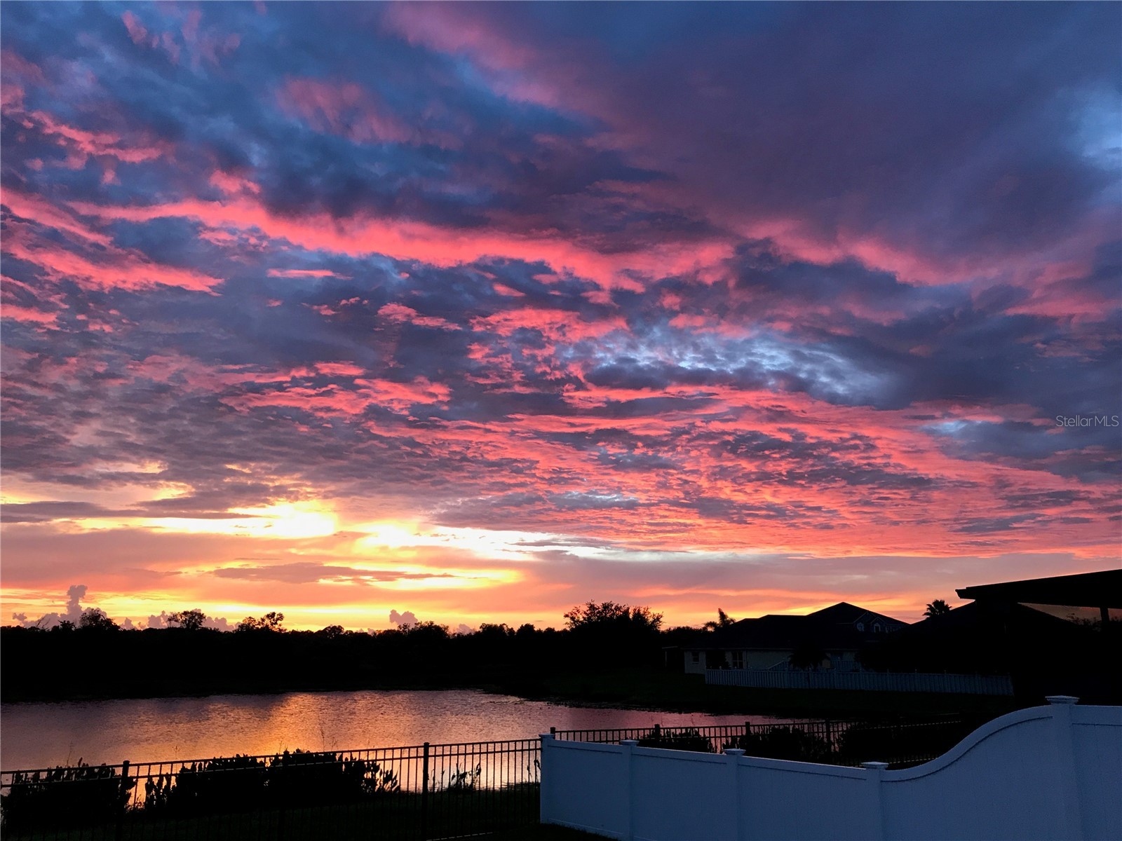 9225 Seeger Lane Land O Lakes FL 34638 TB8469829 image87