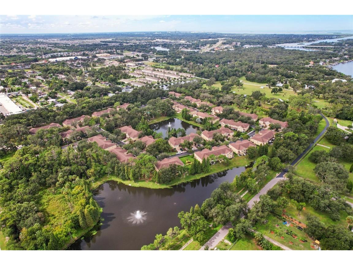 9225 Stone River Place Riverview FL 33578 TB8451014 image37