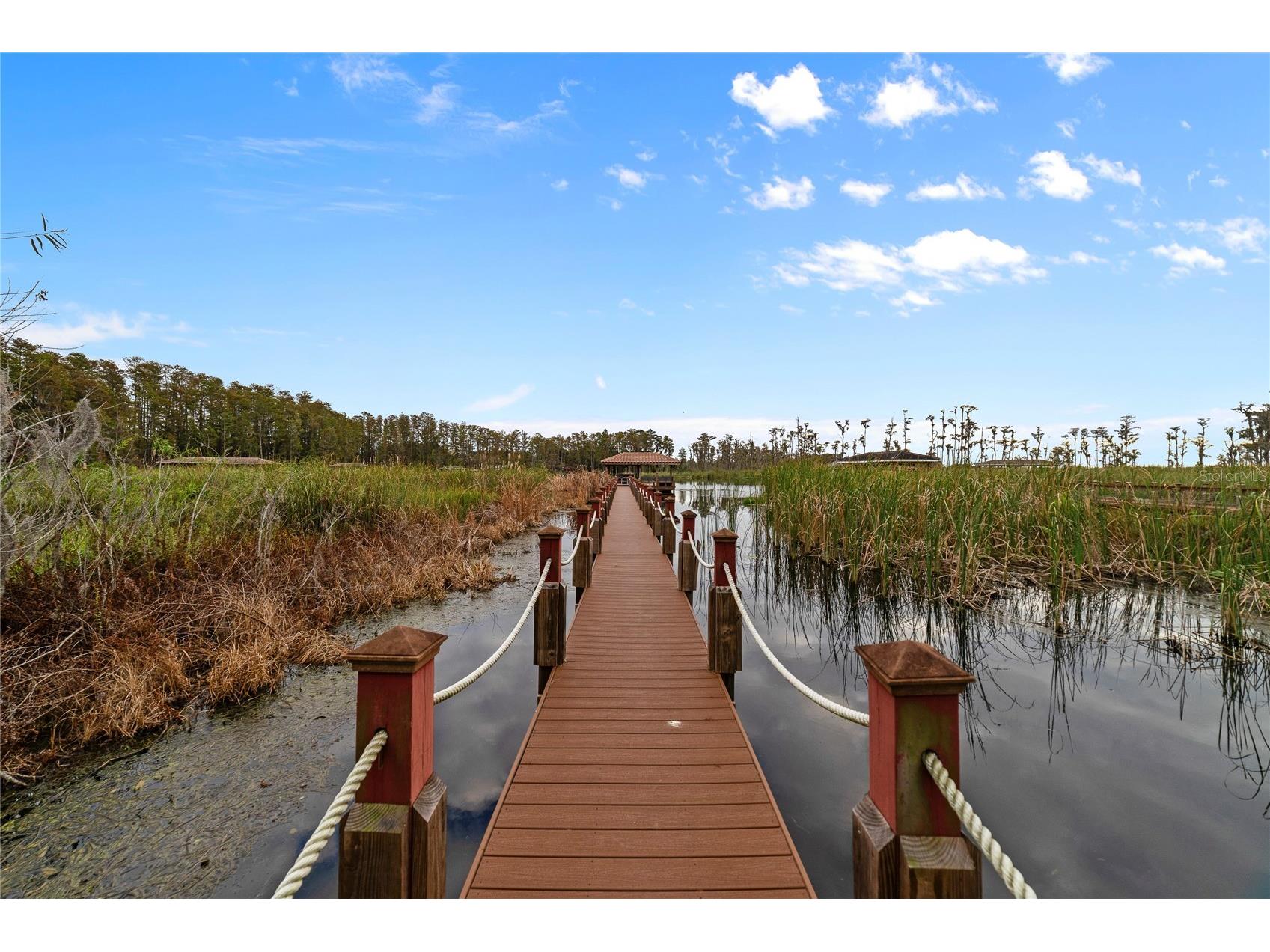 9226 Bayway Drive Orlando FL 32819 - BUTLER CHAIN OF LAKES O6405499 image31
