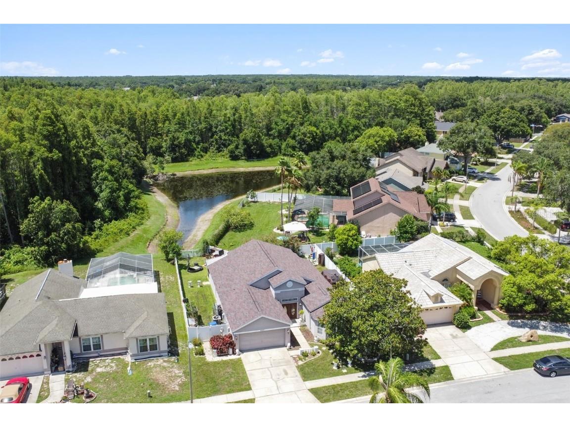 9227 Buena Mesa Drive New Port Richey FL 34655 U8221443 image1