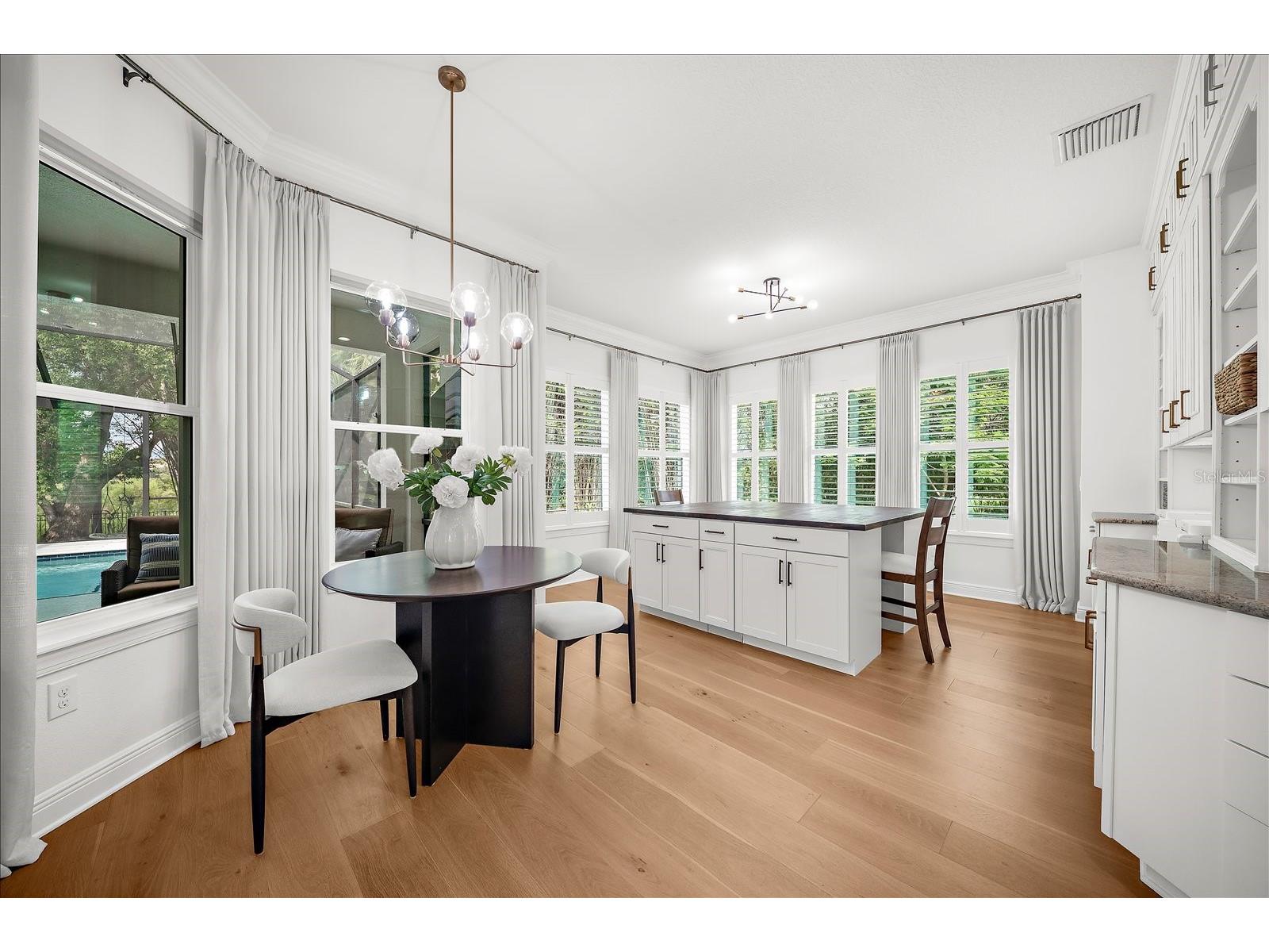 9227 Tillinghast Drive Tampa FL 33626 - POND TB8512556 image41