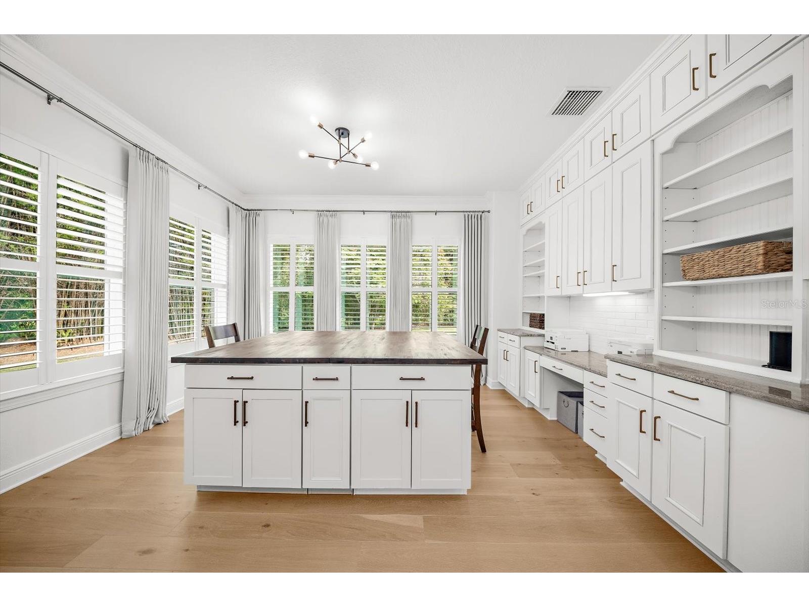 9227 Tillinghast Drive Tampa FL 33626 - POND TB8512556 image42