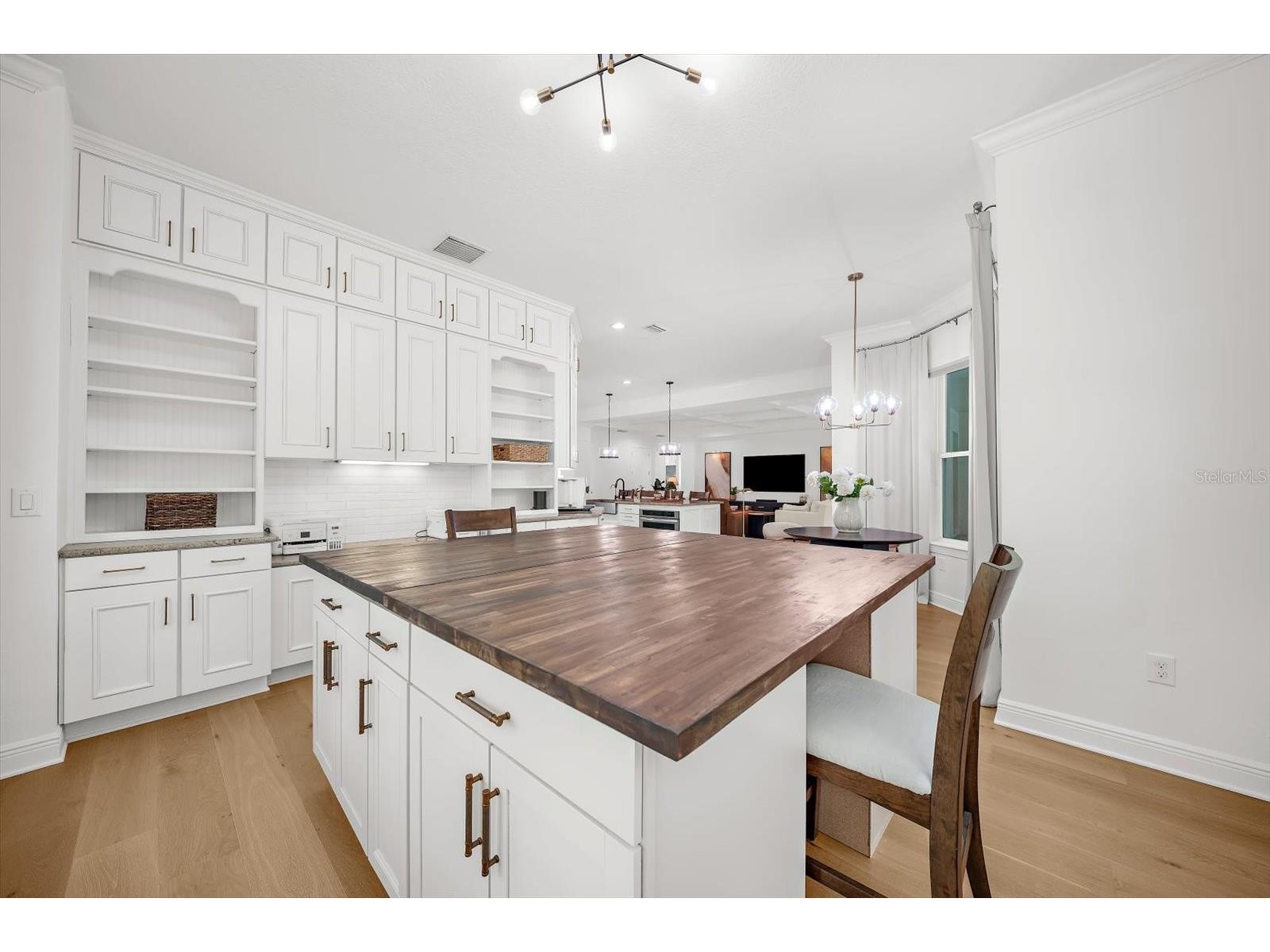 9227 Tillinghast Drive Tampa FL 33626 - POND TB8512556 image43