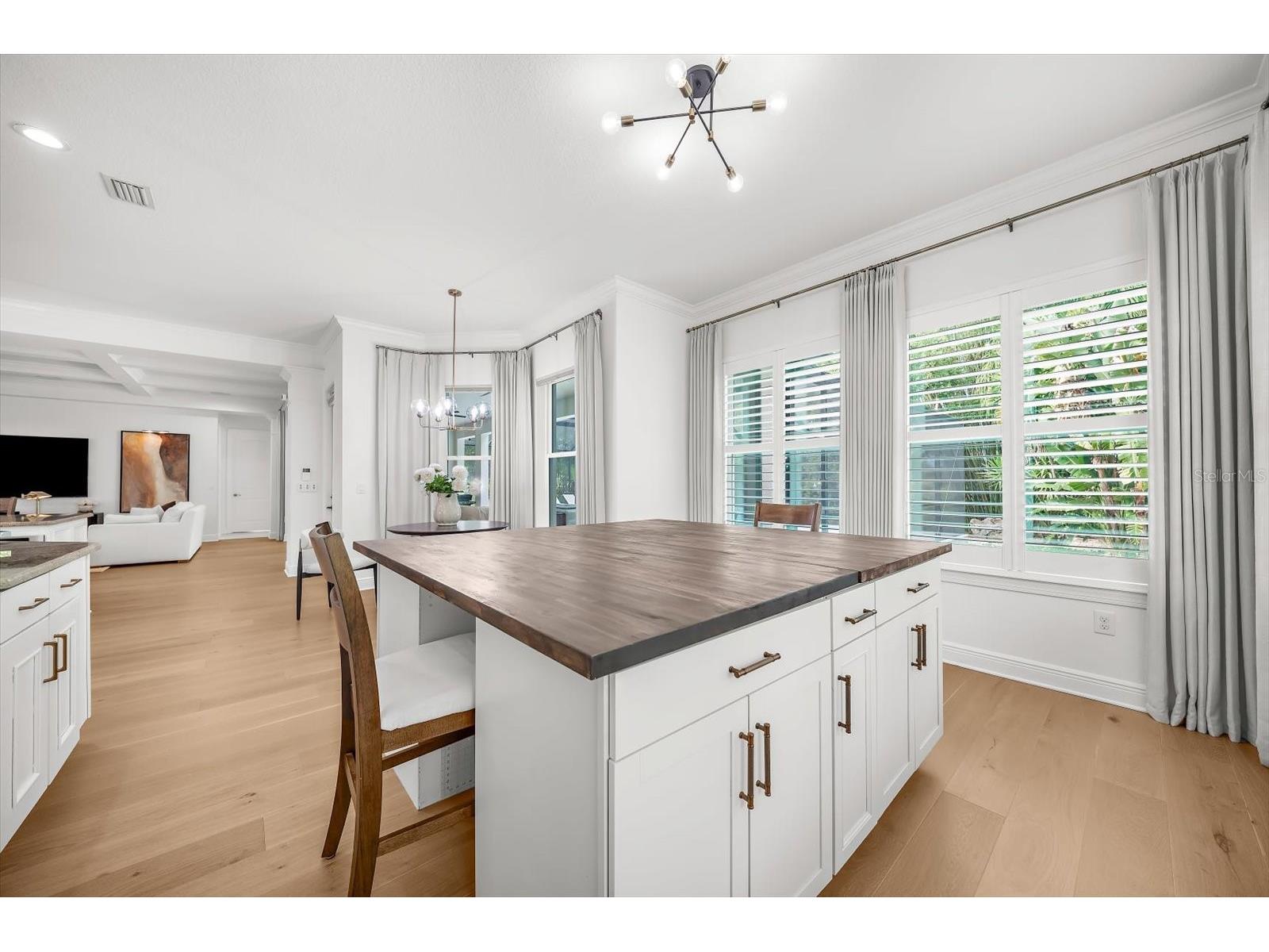 9227 Tillinghast Drive Tampa FL 33626 - POND TB8512556 image44