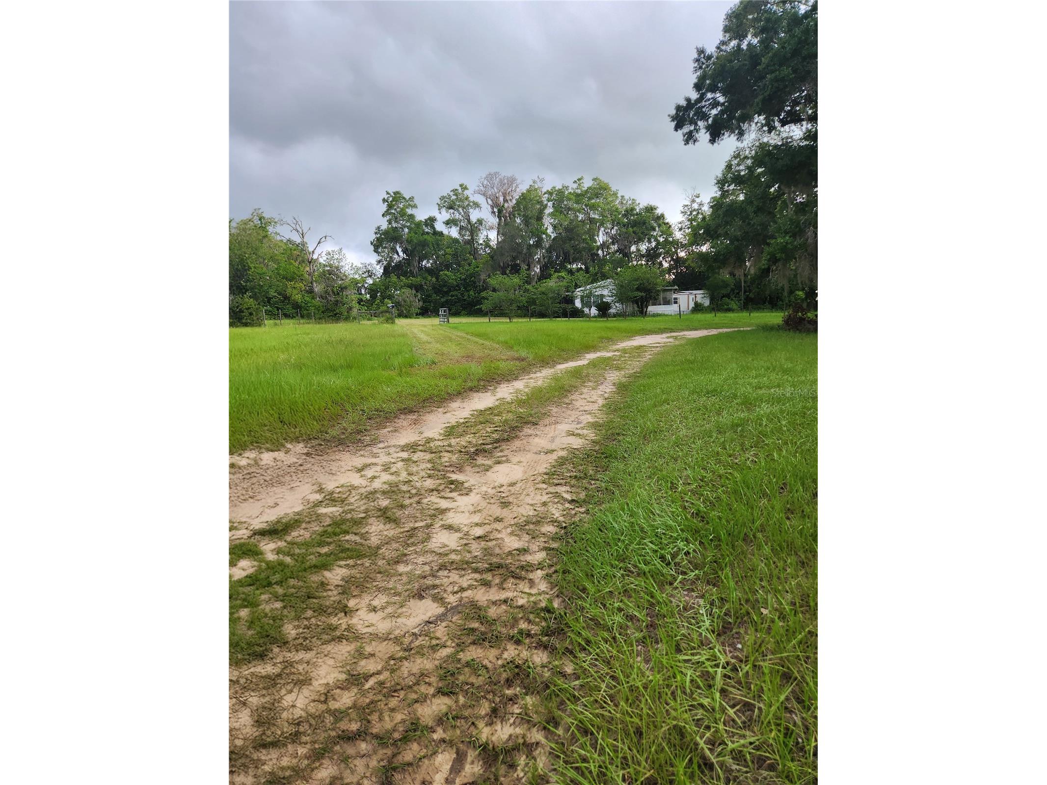 9228 NE Jacksonville Road Anthony FL 32617 OM718709 image1