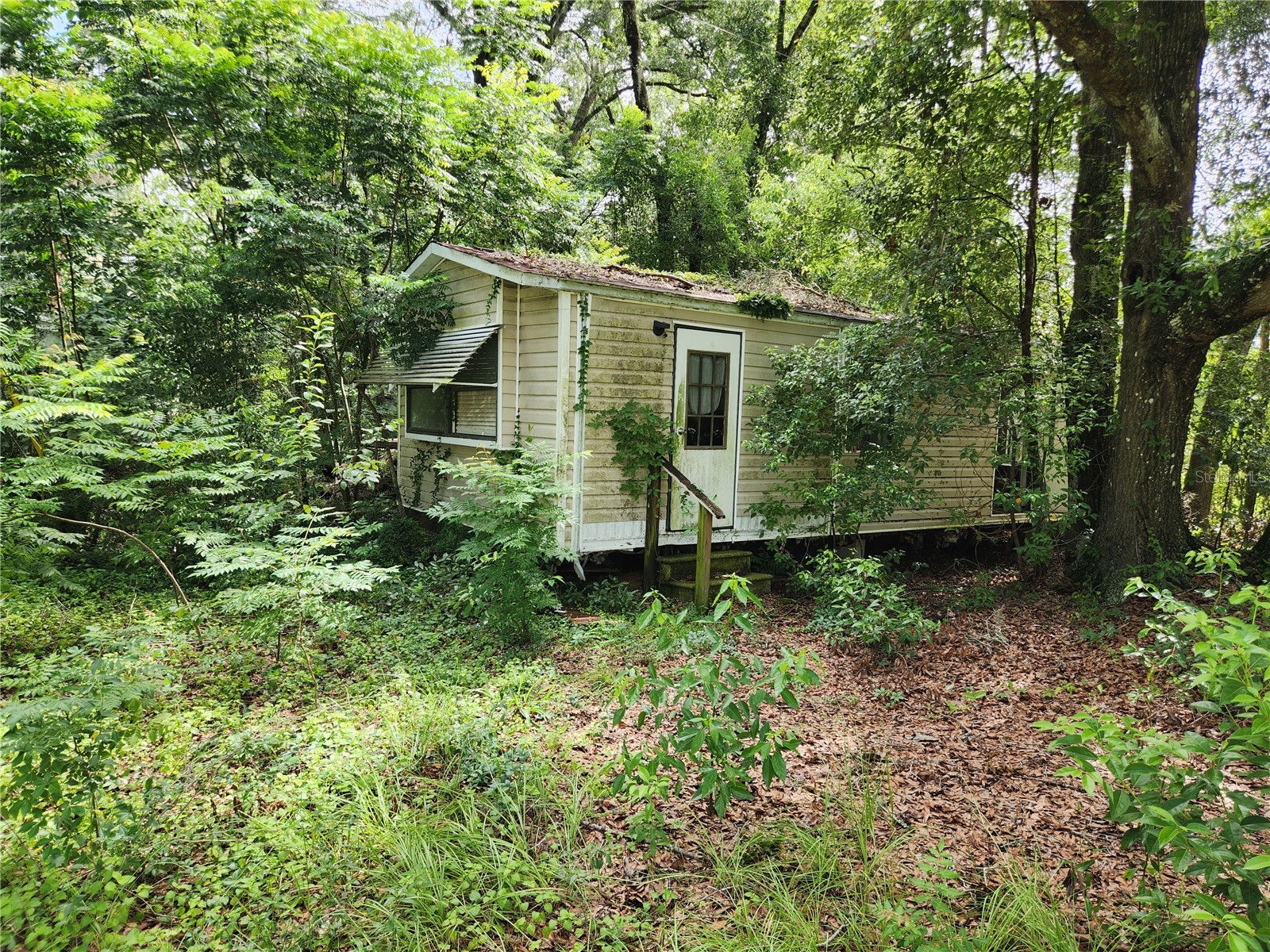 9228 NE Jacksonville Road Anthony FL 32617 OM718709 image7