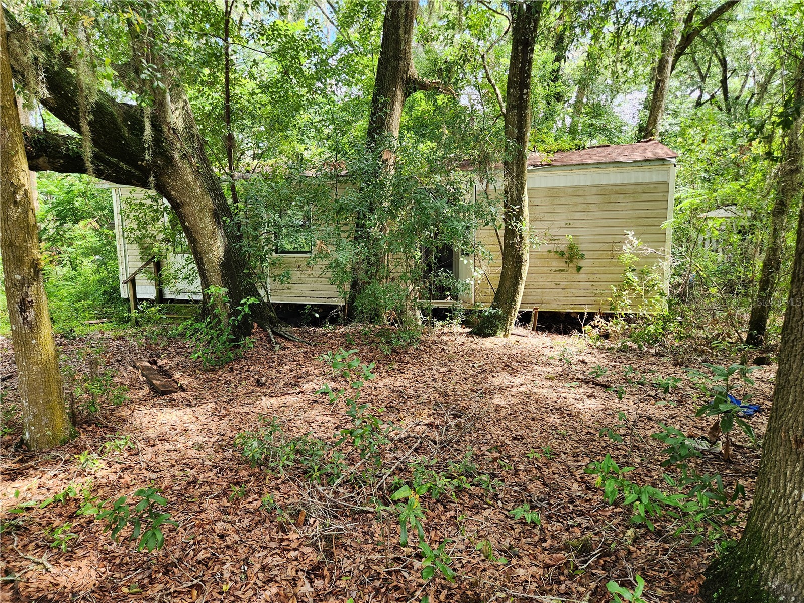 9228 NE Jacksonville Road Anthony FL 32617 OM718709 image8