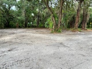 9229 Creston Ave New Port Richey FL 34654 W7847294 image1