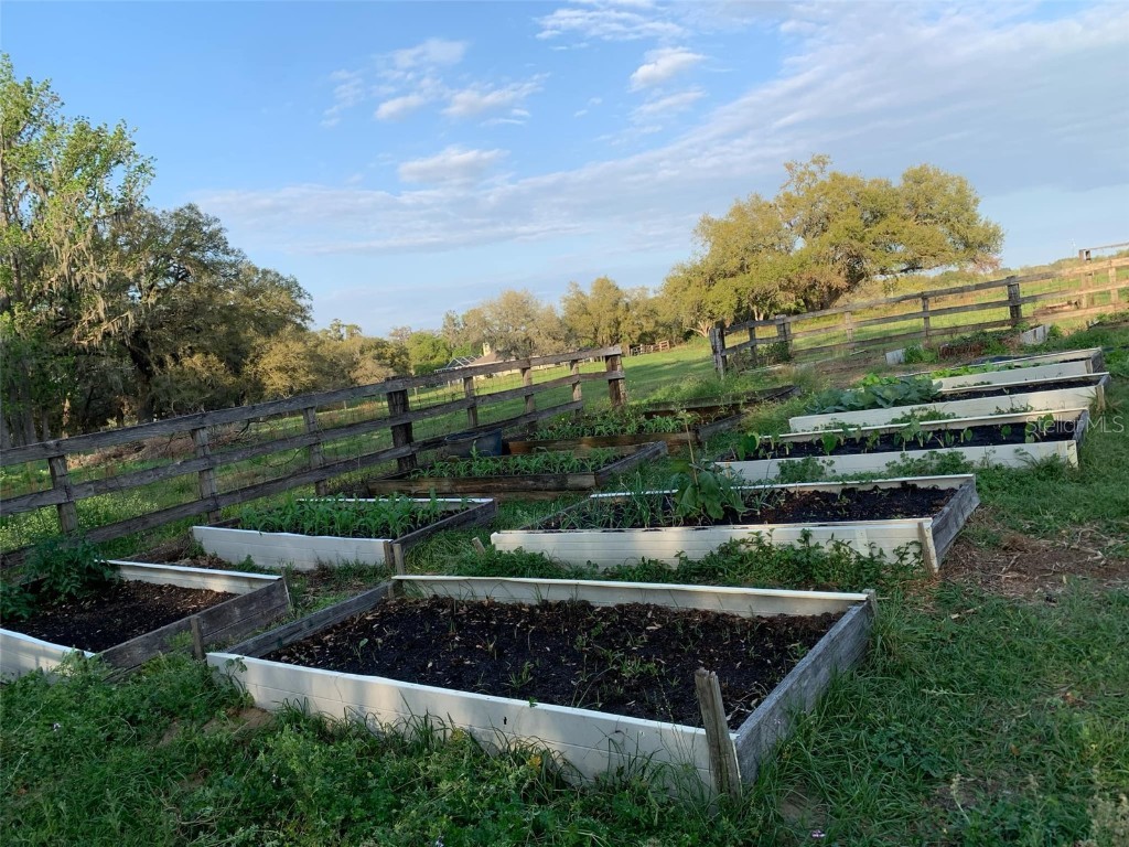 9229 Fort King Rd Road Dade City FL 33525 TB8328419 image61