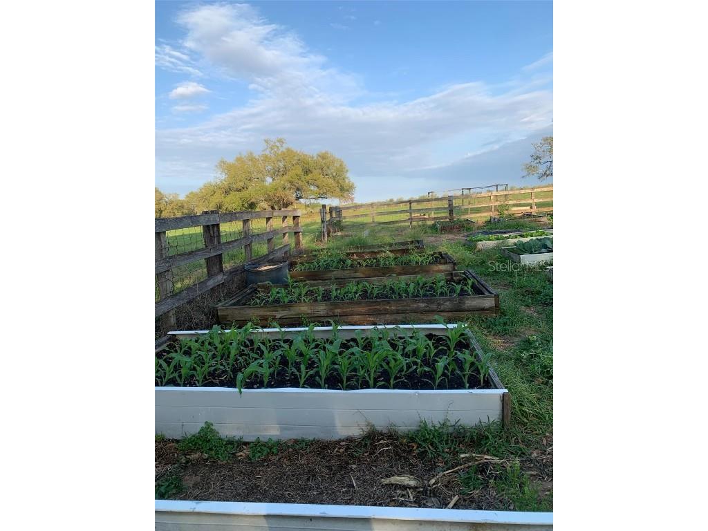 9229 Fort King Rd Road Dade City FL 33525 TB8328419 image62