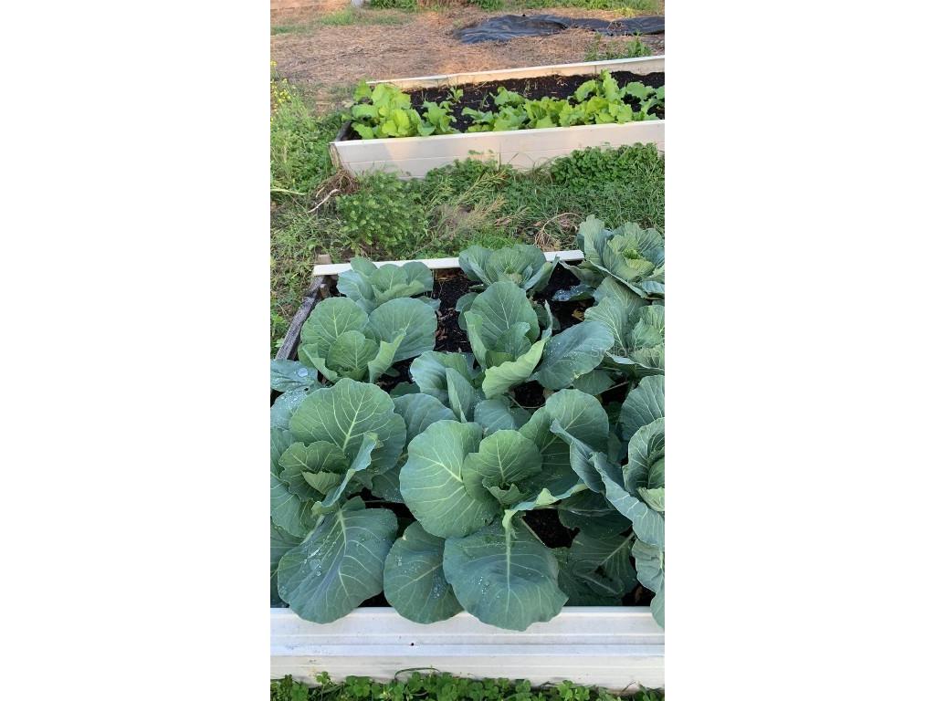 9229 Fort King Rd Road Dade City FL 33525 TB8328419 image63