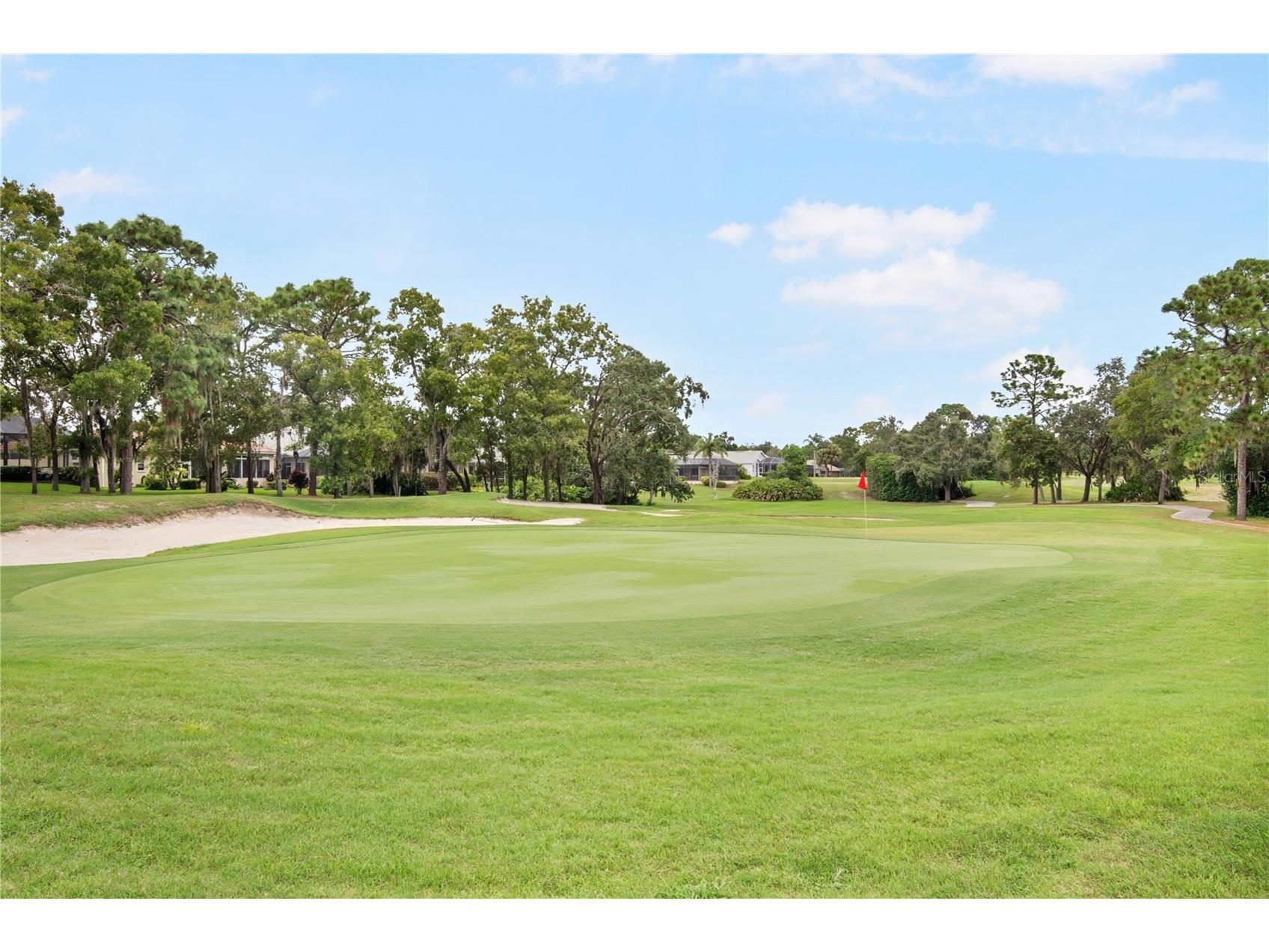 9229 Players Drive Weeki Wachee FL 34613 S5128247 image33