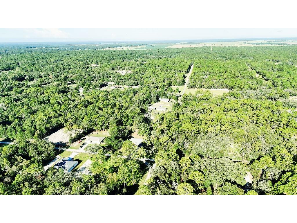 9229 SW 125th Court Road Dunnellon FL 34432 OM709139 image53