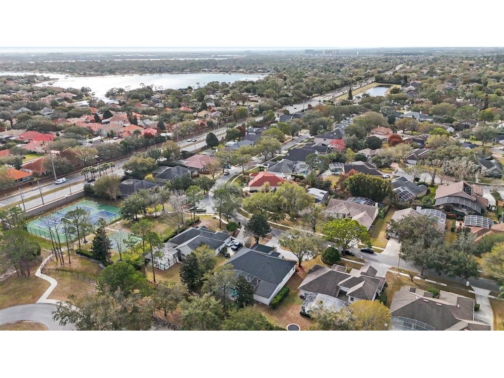 9229 Wickham Way Orlando FL 32836 O6381873 image49