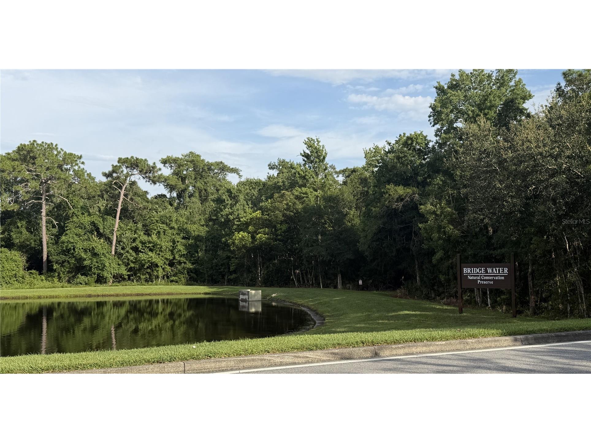 923 Bridgeway Boulevard Orlando FL 32828 O6424503 image40