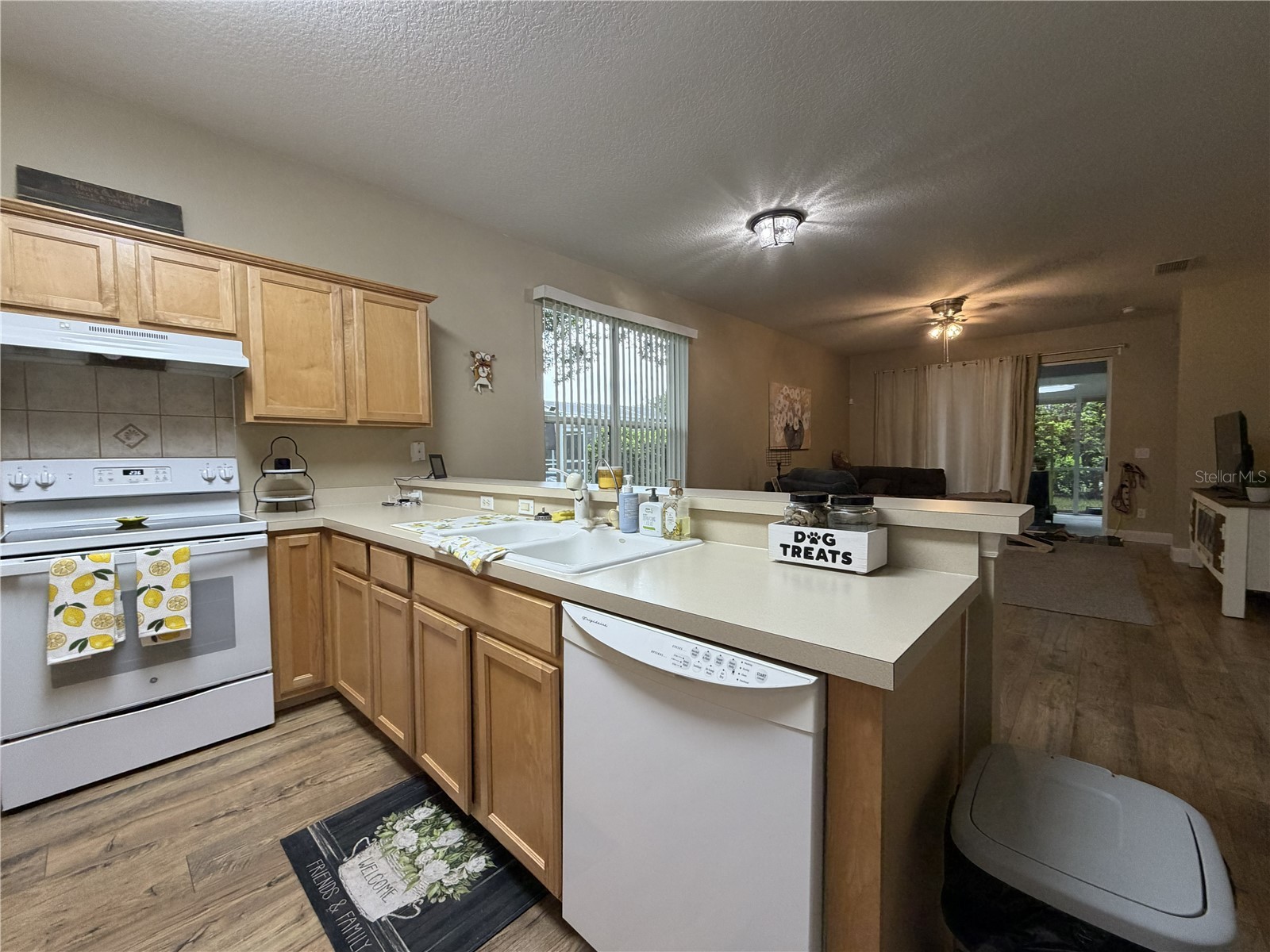 923 Bridgeway Boulevard Orlando FL 32828 O6424503 image6