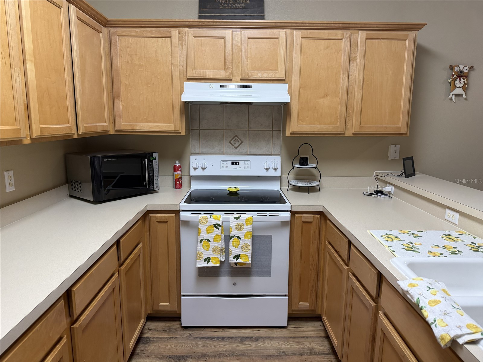 923 Bridgeway Boulevard Orlando FL 32828 O6424503 image7