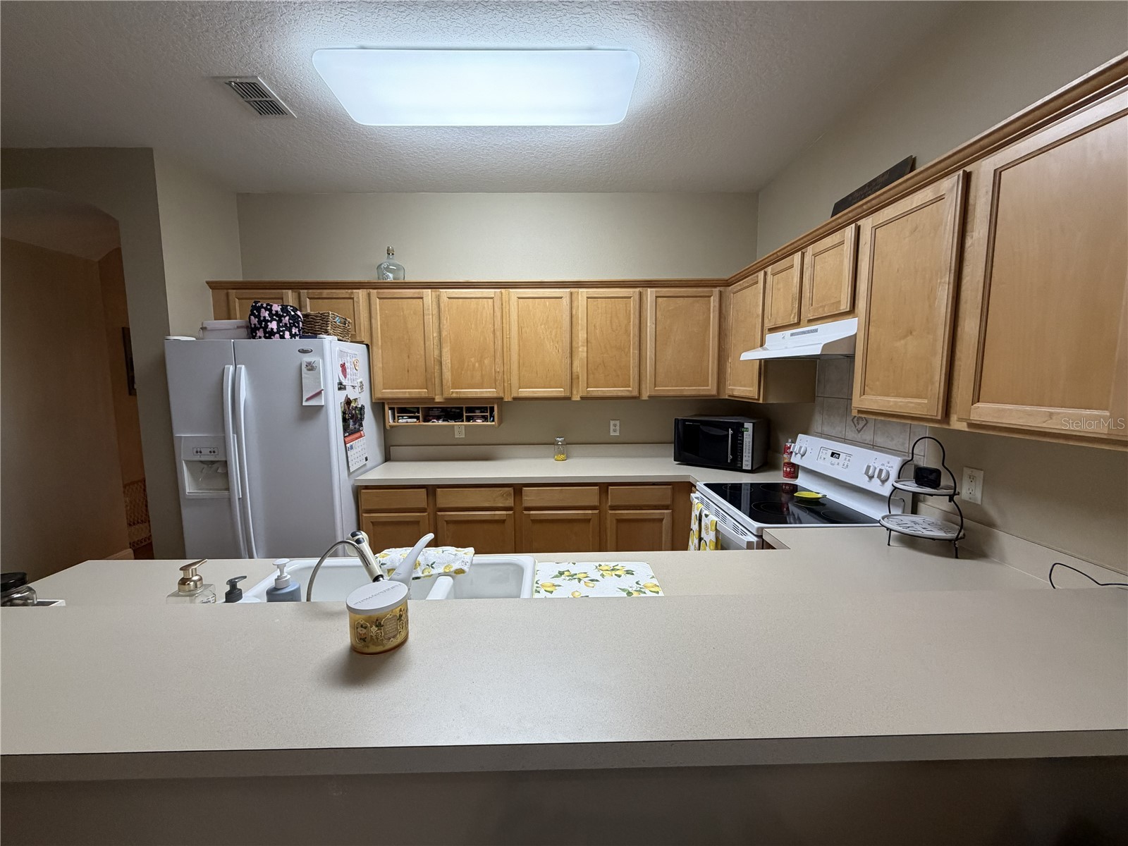 923 Bridgeway Boulevard Orlando FL 32828 O6424503 image8