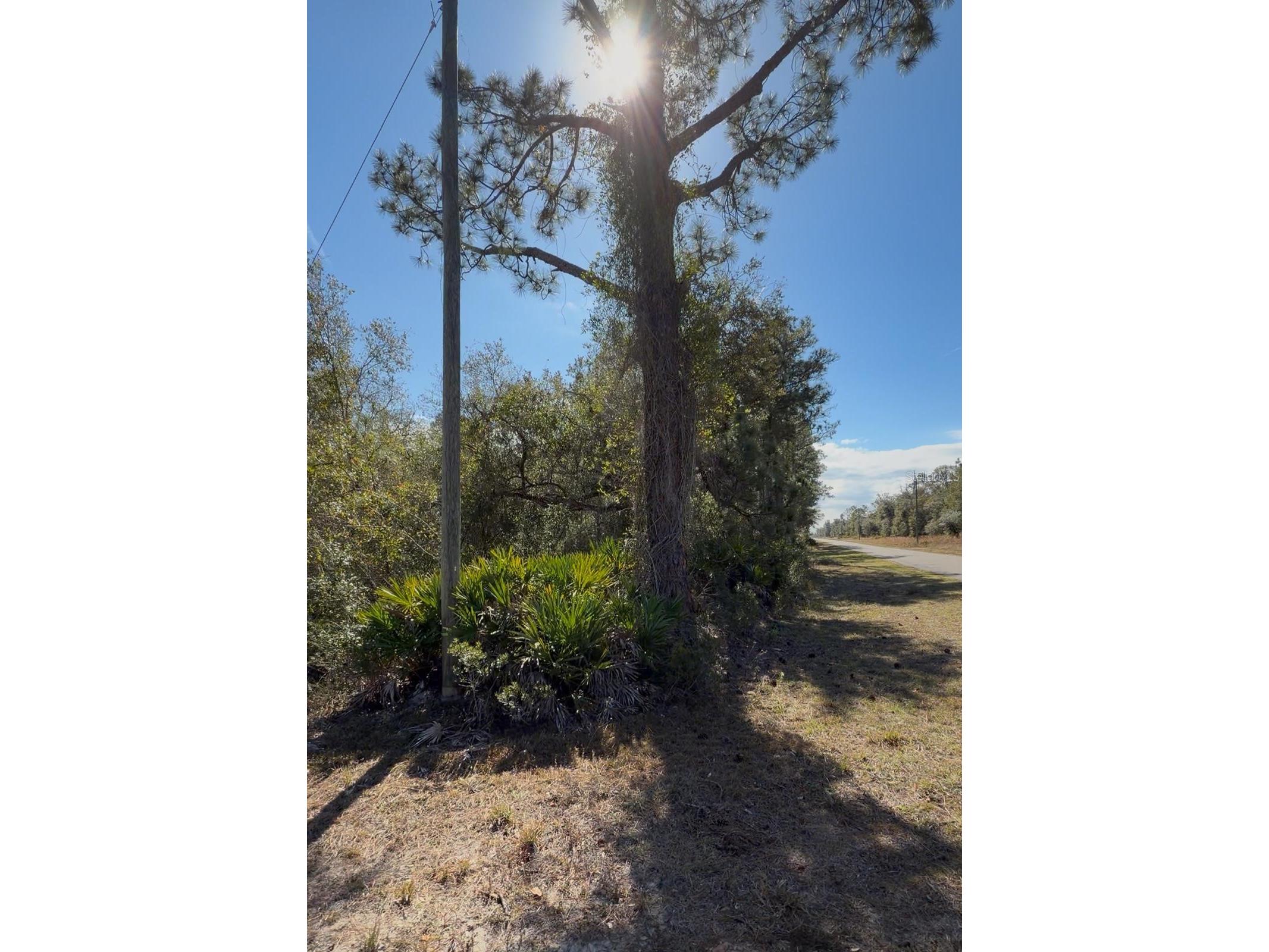 923 Gaillardia Drive Indian Lake Estates FL 33855 - LAKE WEOHYAKAPKA O6379238 image3