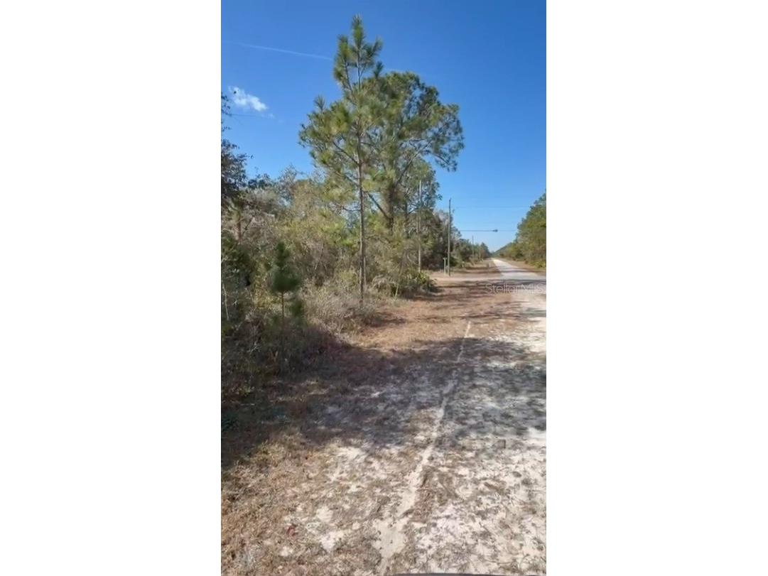 923 Gaillardia Drive Indian Lake Estates FL 33855 - LAKE WEOHYAKAPKA O6379238 image4