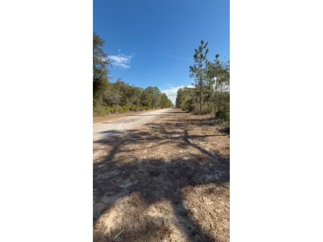 923 Gaillardia Drive Indian Lake Estates FL 33855 - LAKE WEOHYAKAPKA O6379238 image7