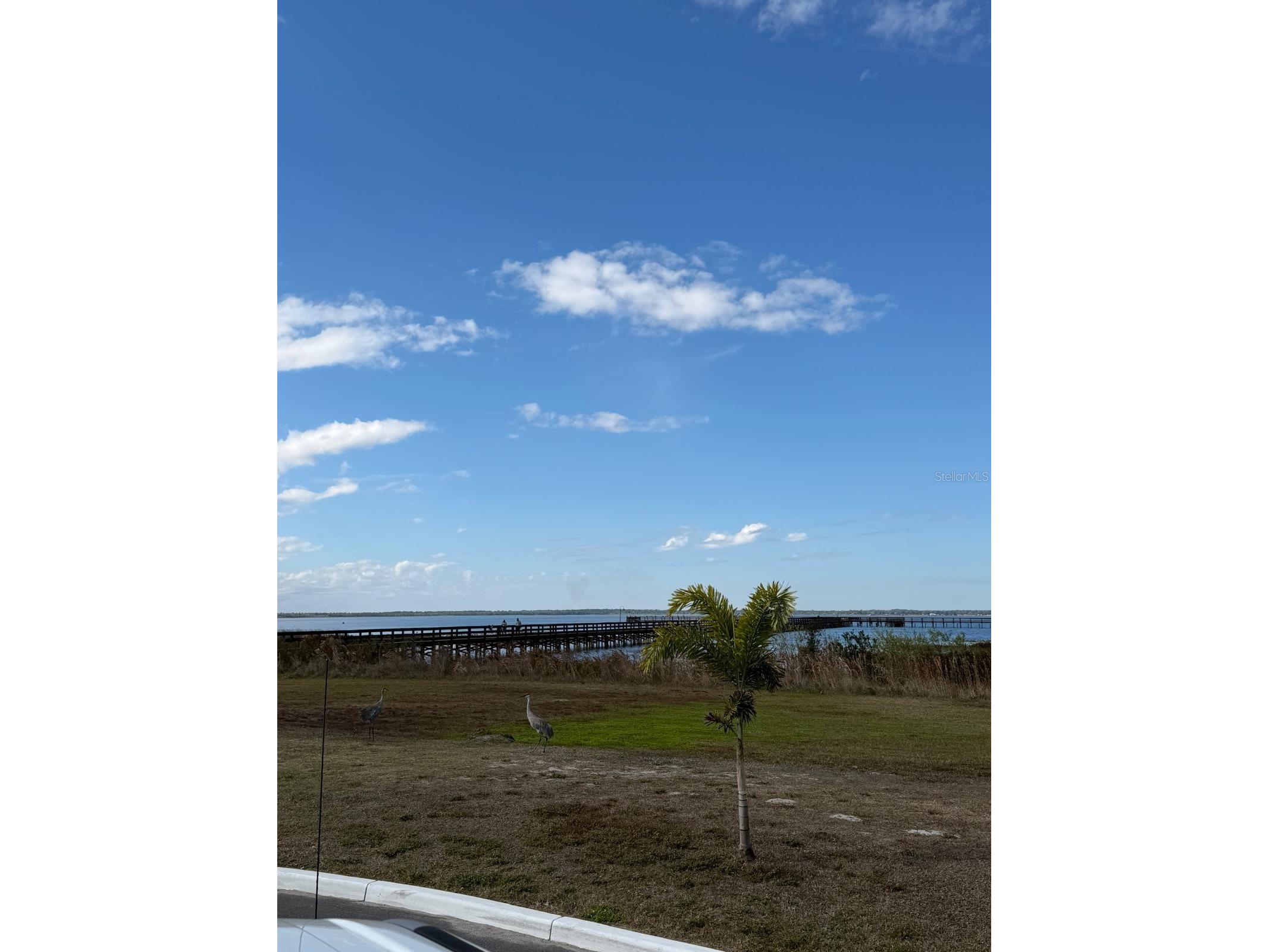 923 Gaillardia Drive Indian Lake Estates FL 33855 - LAKE WEOHYAKAPKA O6379238 image9