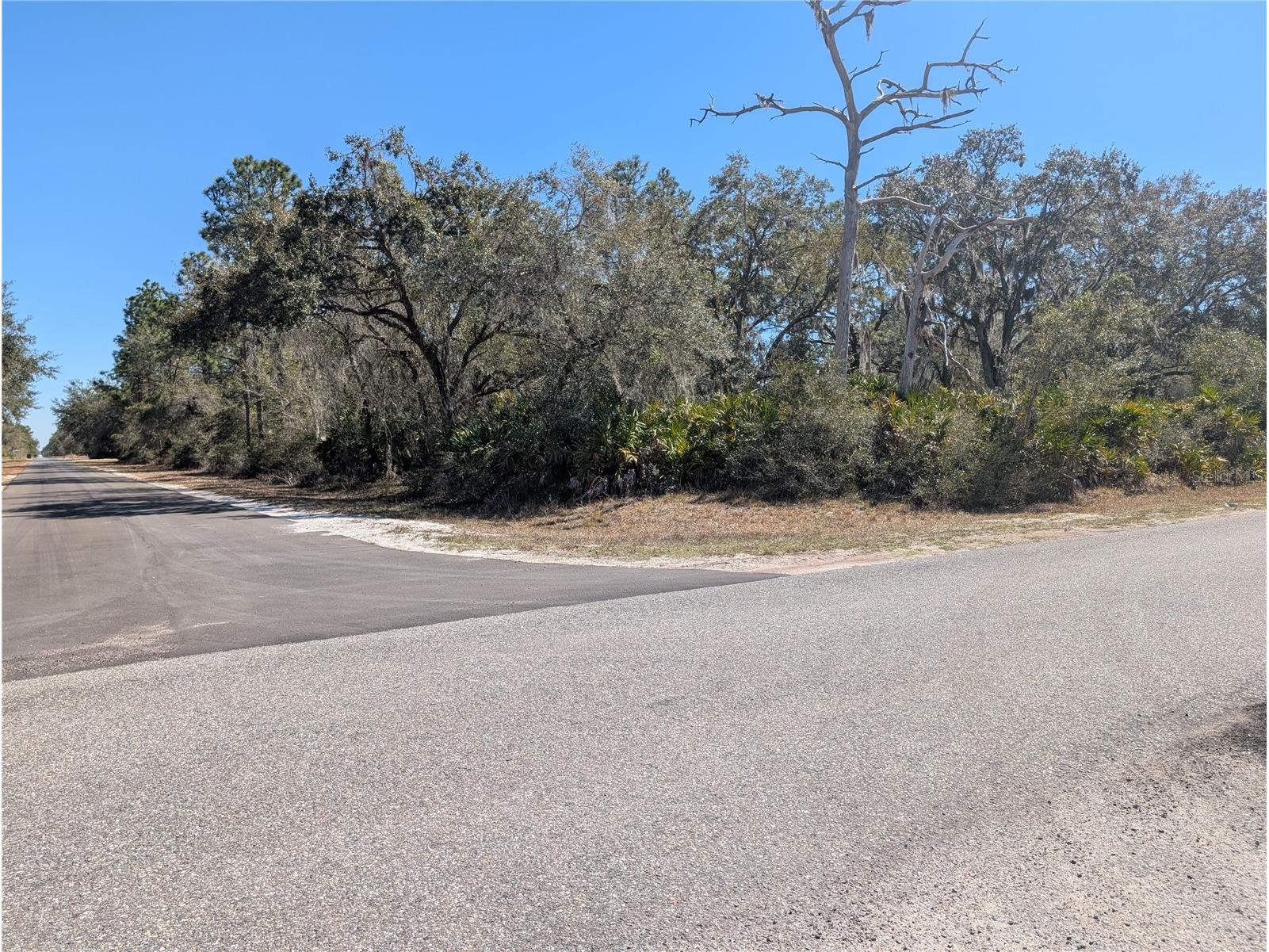 923 Hibiscus Drive Indian Lake Estates FL 33855 - LAKE WALK-IN-WATER P4937902 image3