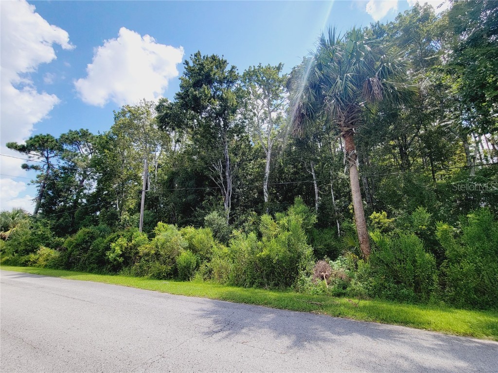 923 N Amelia Earhart Point Crystal River FL 34429 W7866555 image1