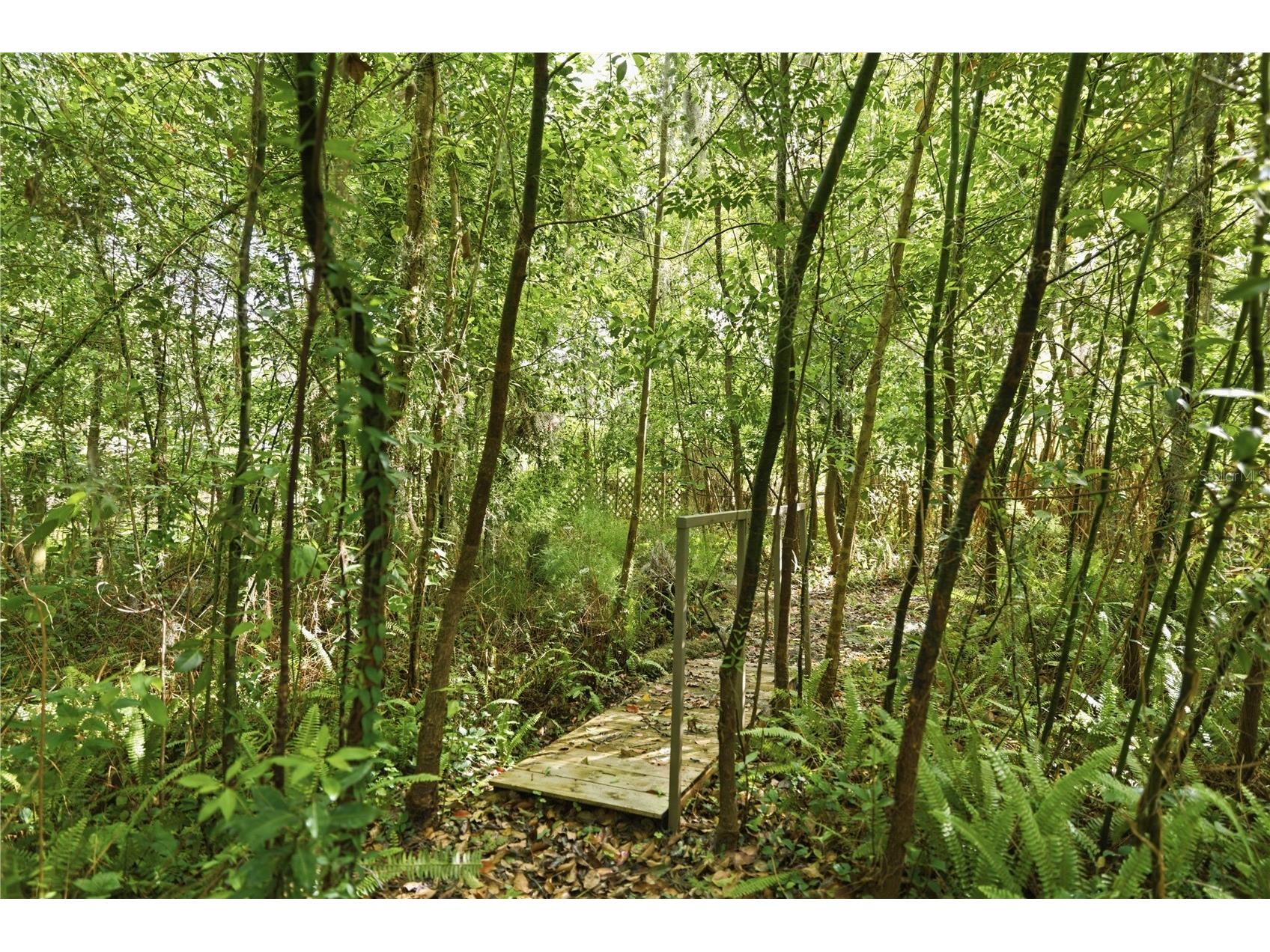 923 NE 2nd Street Ocala FL 34470 OM722474 image31