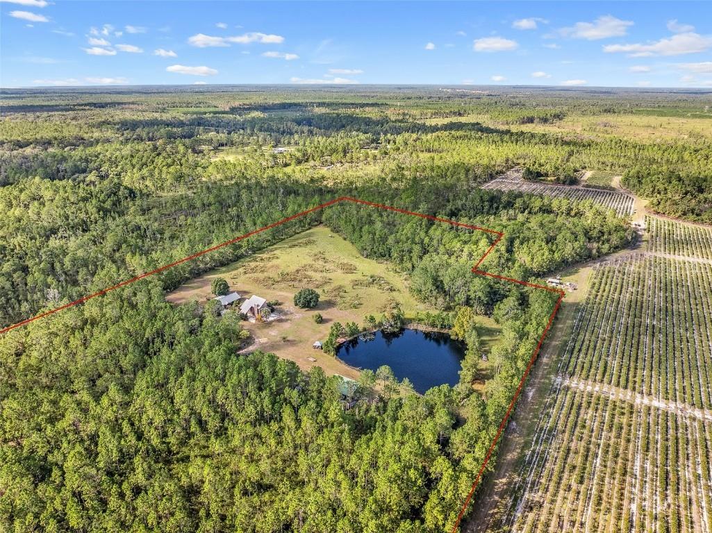 923 S County Road 315 Interlachen FL 32148 GC534102 image40