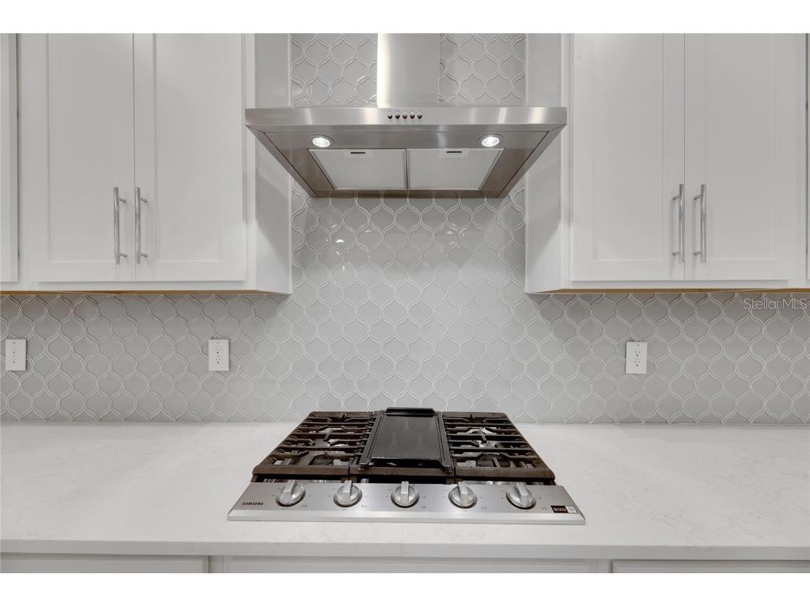 923 Signet Drive Apollo Beach FL 33572 TB8445010 image25