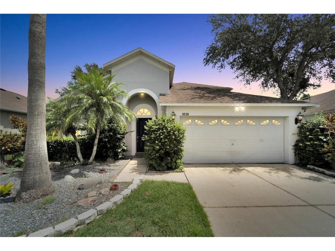 9230 Blackthorn Loop Land O Lakes FL 34638 T3467526 image1