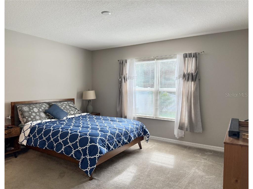 9231 Freedom Hill Drive Seffner FL 33584 TB8461042 image11