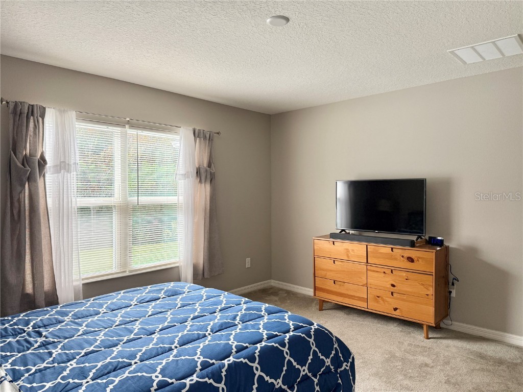 9231 Freedom Hill Drive Seffner FL 33584 TB8461042 image12