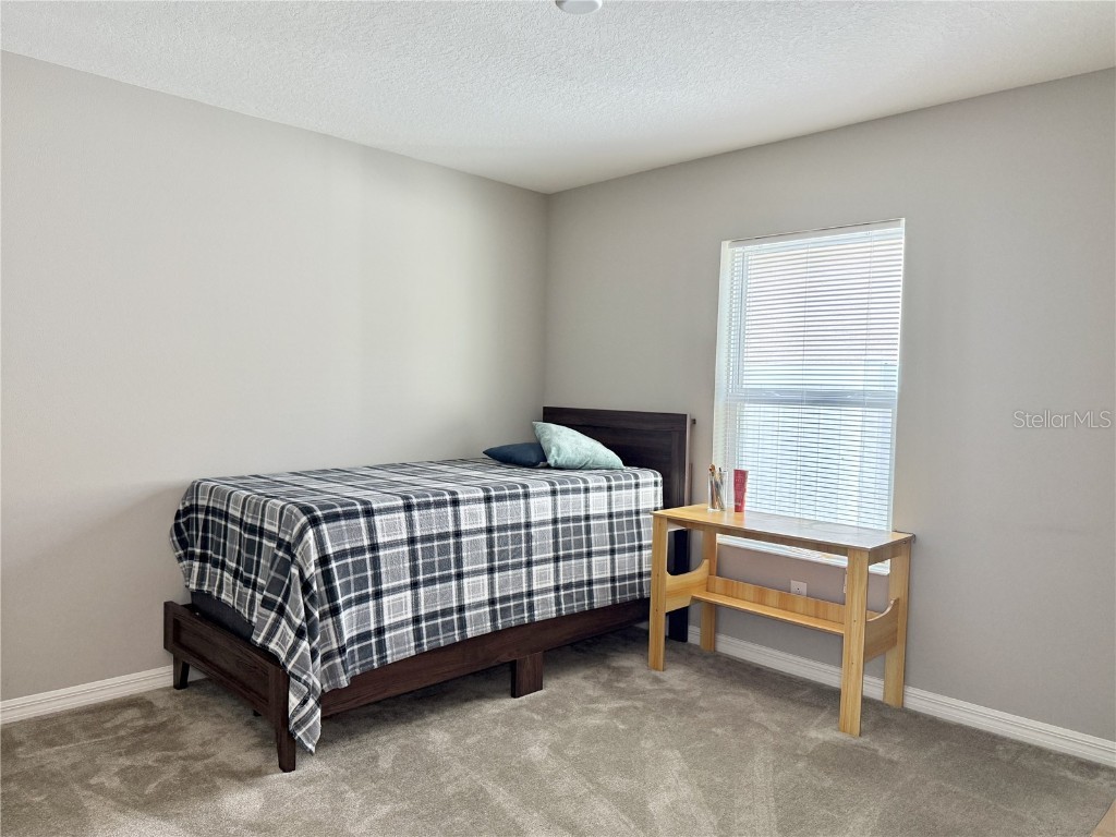 9231 Freedom Hill Drive Seffner FL 33584 TB8461042 image16