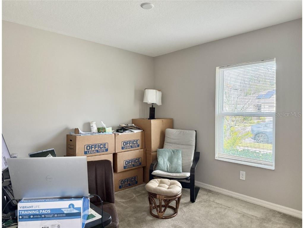 9231 Freedom Hill Drive Seffner FL 33584 TB8461042 image20