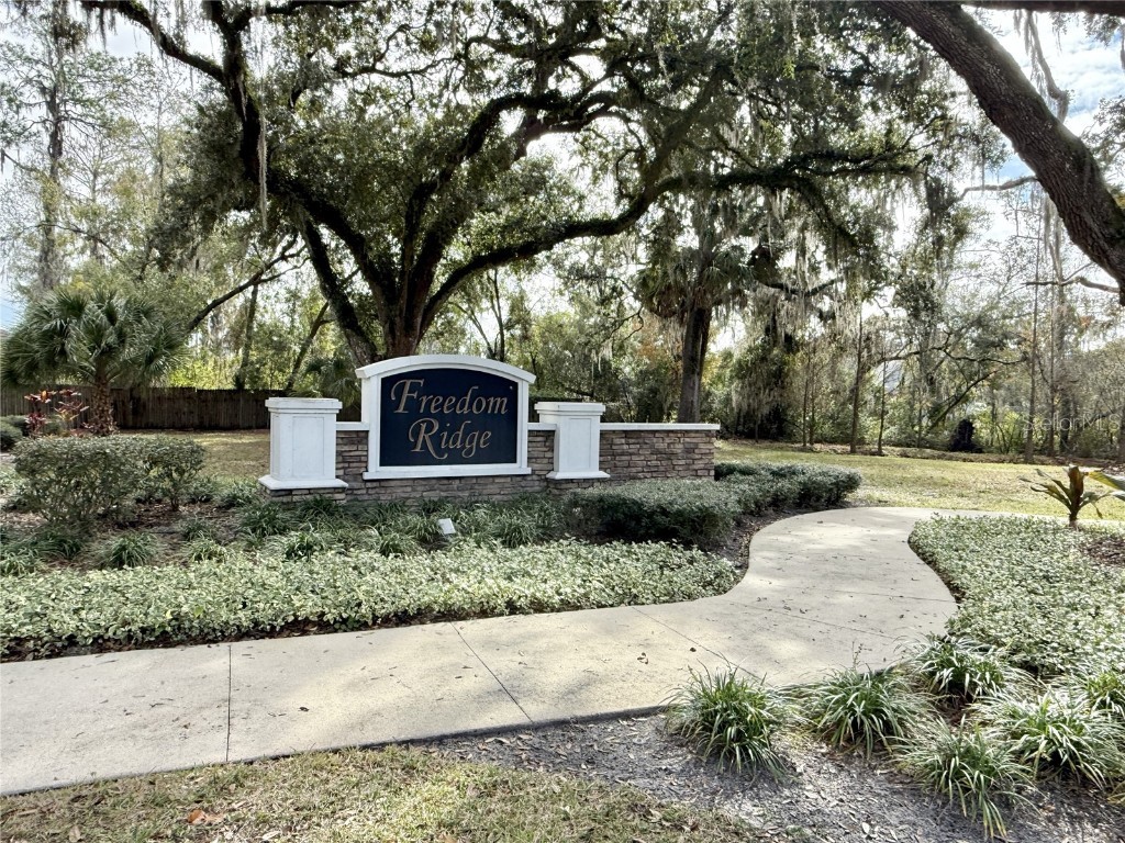 9231 Freedom Hill Drive Seffner FL 33584 TB8461042 image28