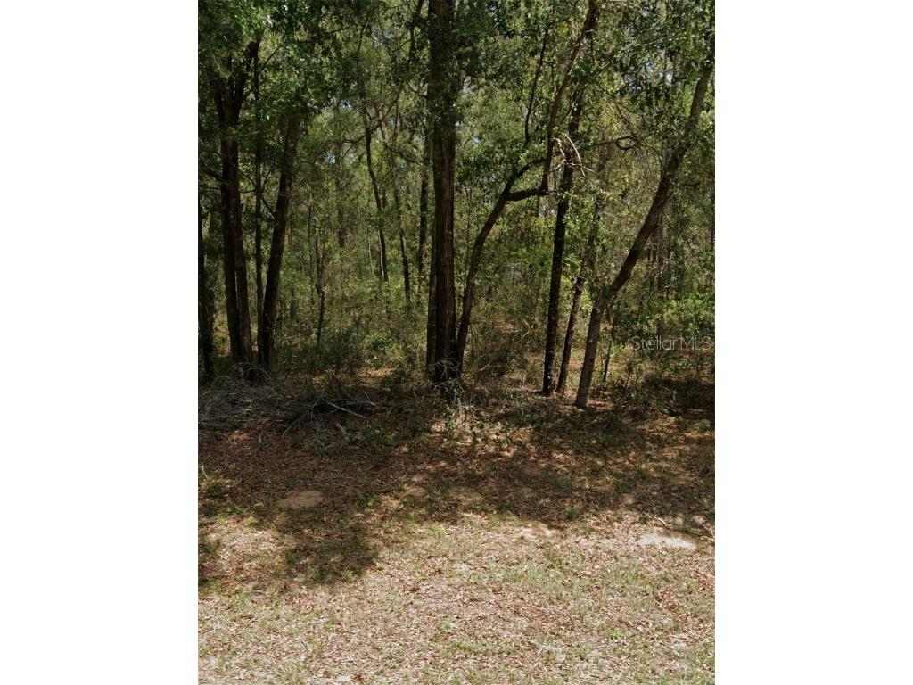 9231 N Sherman Drive Citrus Springs FL 34434 S5139982 image1