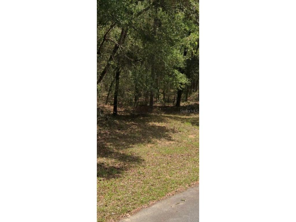9231 N Sherman Drive Citrus Springs FL 34434 S5139982 image2