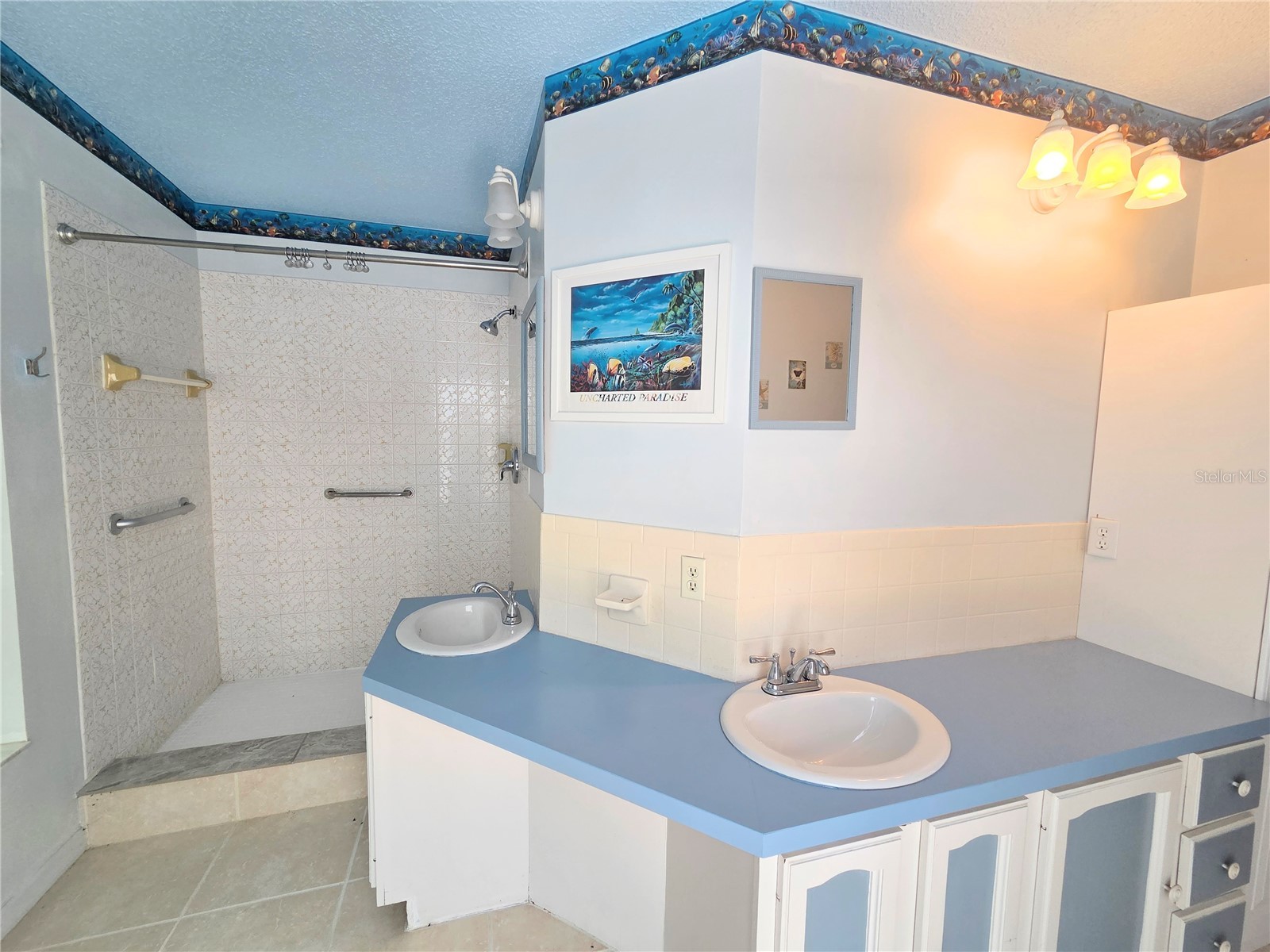 9233 Geneva Street Spring Hill FL 34608 W7886692 image14